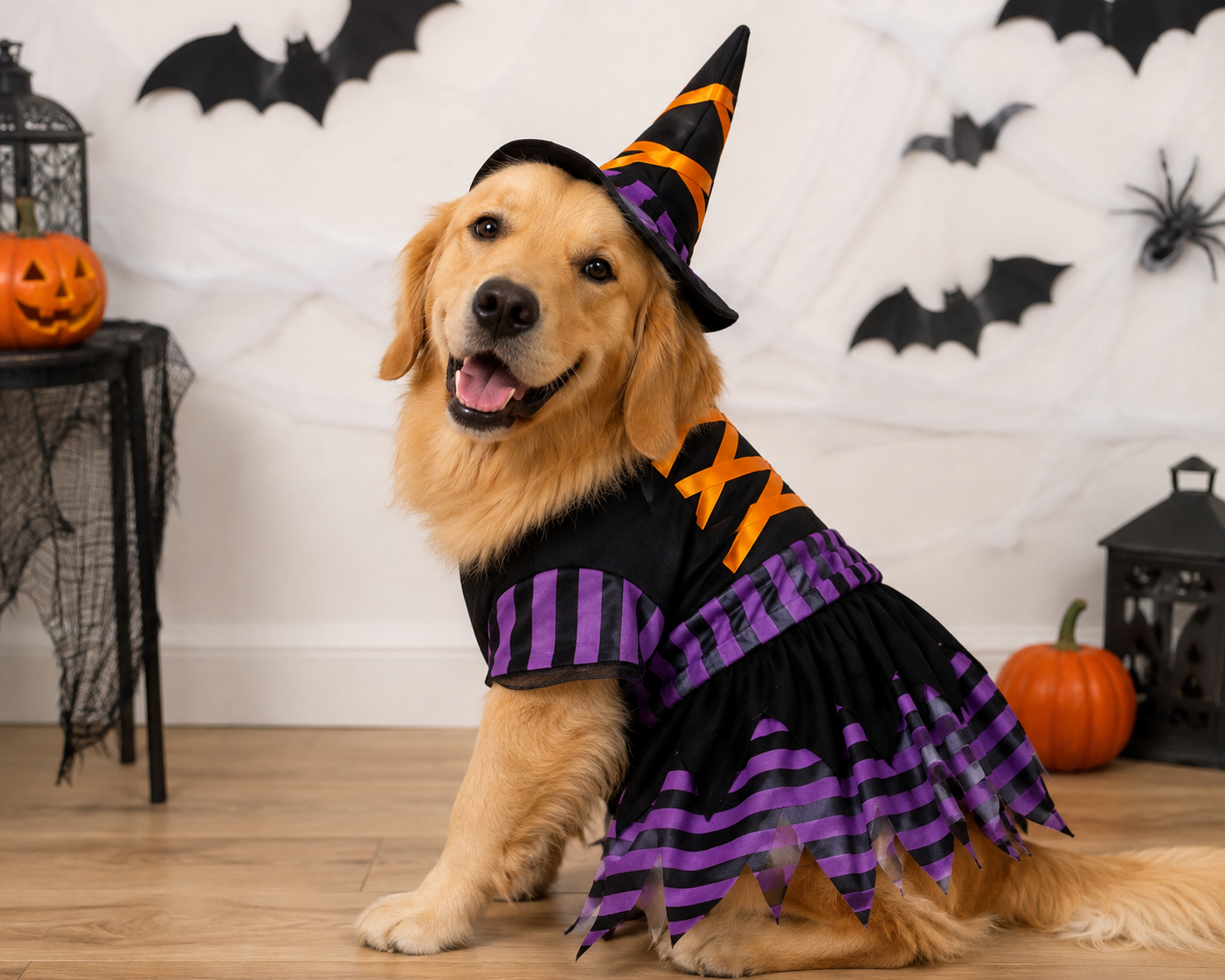 Funny Halloween Costumes for Pets