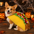 Teddy Corset Costume for Pets